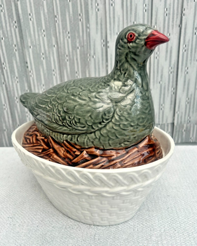 Unusual large pigeon bird - pigeon,