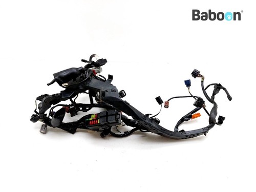 Wiring harness honda - wiring, (main)