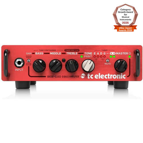 Electronic bh250 bass amp - bh250,