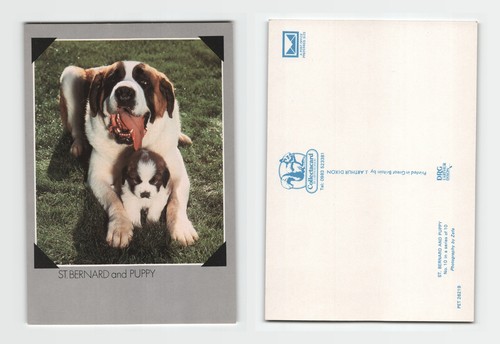 Postcard bernard and - bernard,