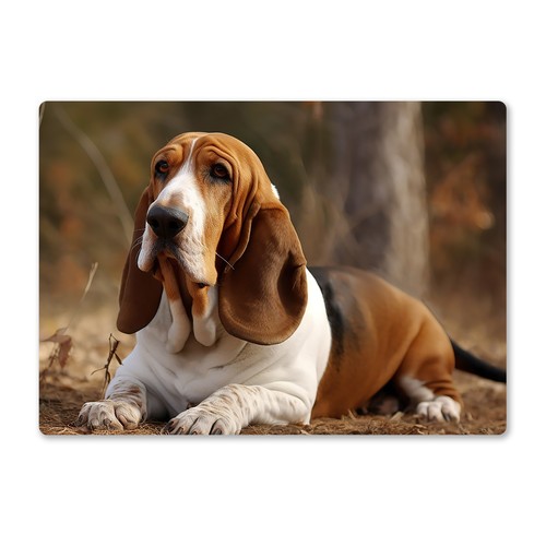 Metal wall sign dogs basset - wall,