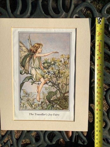 Traveller joy fairy - traveller’s,