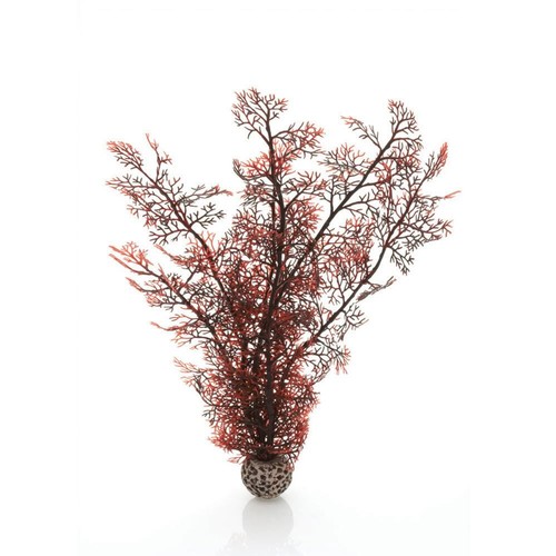 Oase biorb sea fan - sea,