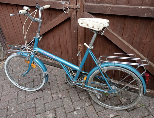 Raleigh shopper 20in bike blue - 20in,