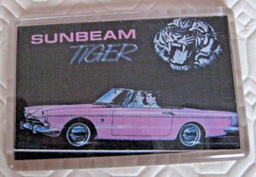 Sunbeam tiger fridge magnet - sunbeam,