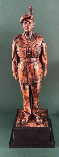 Royal irish regiment soldier - irish,
