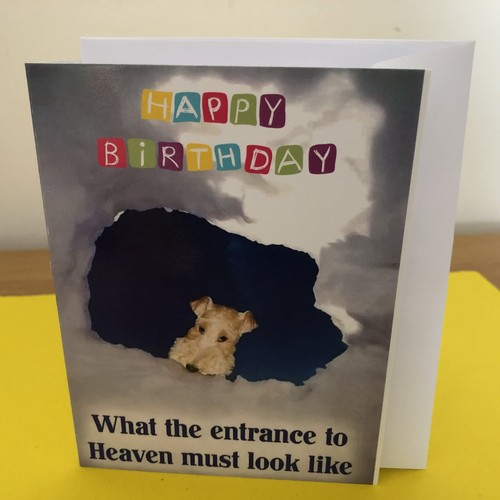 Terrier dog quote - 🐶,