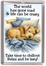 Lakeland Terrier Dog Fridge