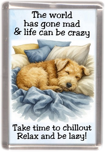 Lakeland terrier dog fridge - lakeland,