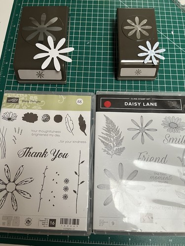 Stampin daisy lane and - daisy,