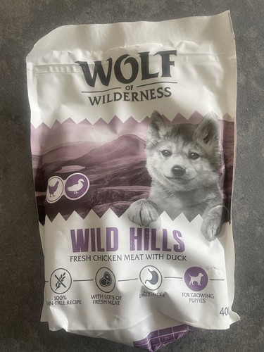Wolf wilderness dog - dog, food