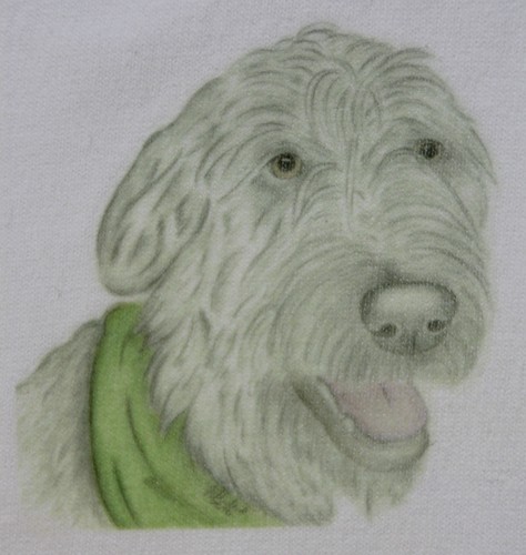 Wolfhound and deerhound - wolfhound,
