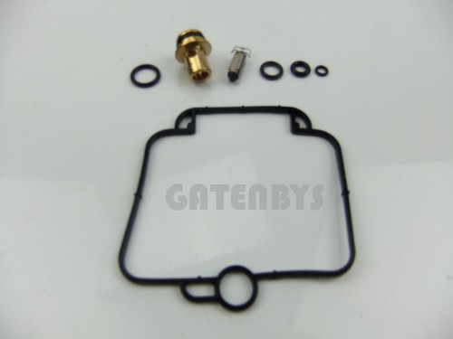 Carburetor repair kit fits - kit,