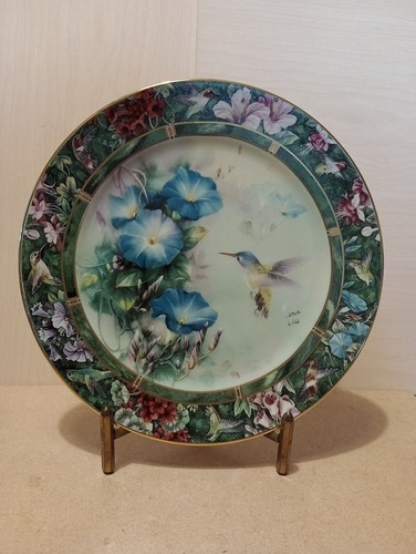 The violet crowned hummingbird - the,