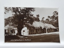 Vintage Postcard, The Cat And