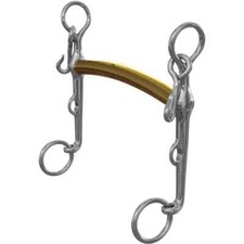 Neue Schule Thoroughbred