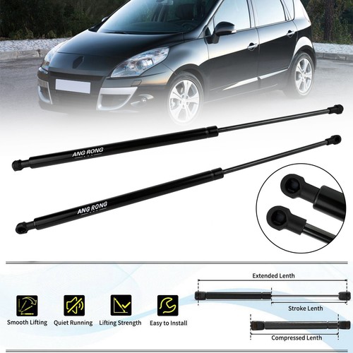 Tailgate boot gas - tailgate, struts