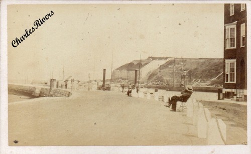 Cdv weymouth pier showing tall - cdv,