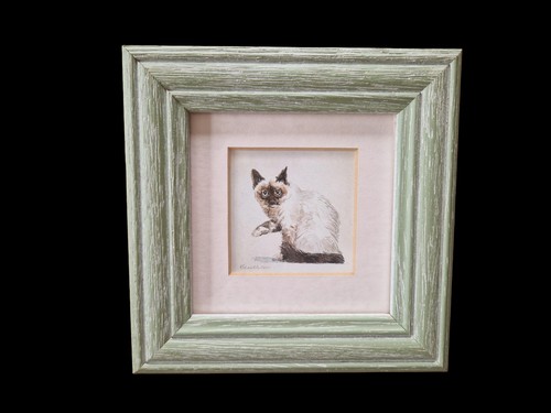 Robin mullen siamese cat - siamese,