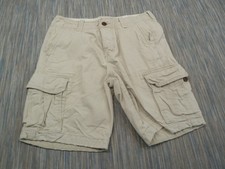 Hollister Shorts Mens W30