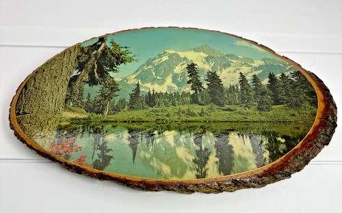 Mid century snowy - century,