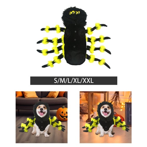 Spider dog costume accessory - dog,