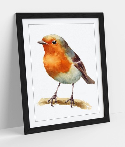Watercolour style robin home - style,