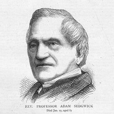 Rev Professor Adam Sedgwick Geologist & Priest - Antique Print 1873