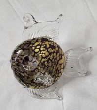 Glass Puffer Fish Blowfish