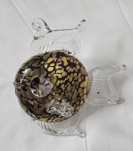 Glass puffer fish blowfish - fish,