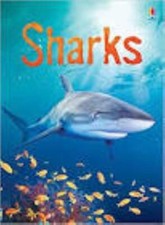 Sharks - Usborne