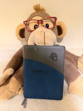 Fire Bible Student Edition NIV