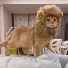 Cat Cosplay Dress Up Pet Hat Lion Mane for Cat Puppy Lion Wig Costume Party