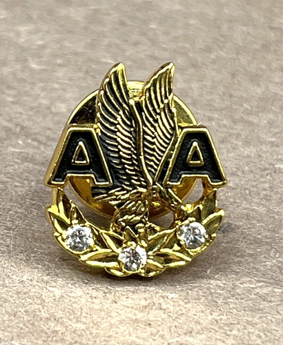 Vintage american airlines - vintage,