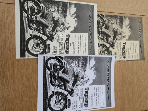 Triumph tiger cub - tiger,