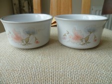 Pair of Denby Encore Ramekin