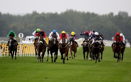 Horse racing lay - horse,