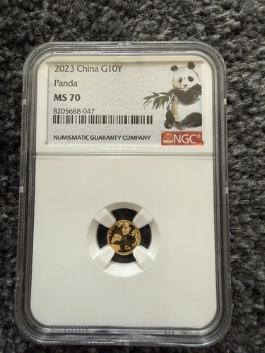2023 gold panda - 1g,