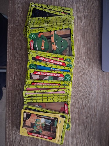 1990 topps teenage mutant - 1990, hero