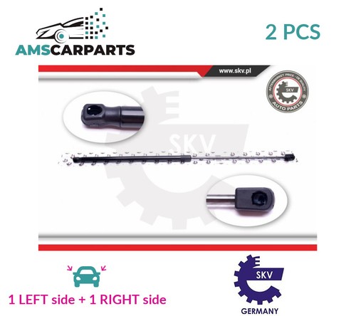 Tailgate boot struts set - tailgate,