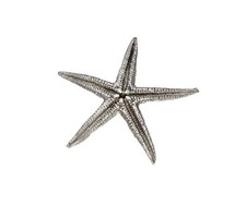 Cast Pewter Baby Starfish