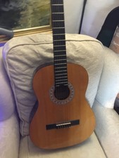 Encore Acoustic Guitar, 6