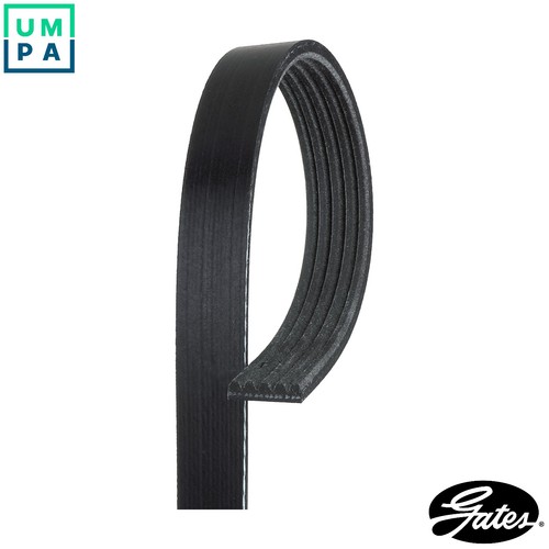 Vribbed belt 5pk940 for alfa - 5pk940,