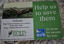 RSPB Pin Badge -BNHS Vulture