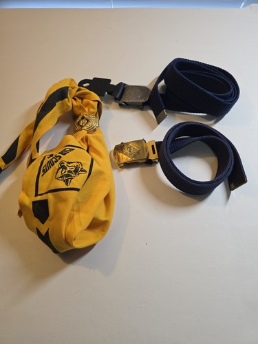 Cub scouts vintage kids - vintage,