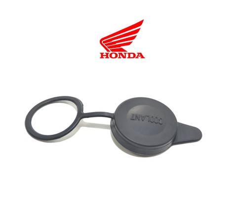 Honda cbr 600 954 2002 - honda, rr
