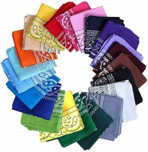 Paisley bandana mouth - bandana,