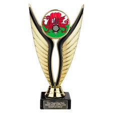 Wales Darts Award 195mm