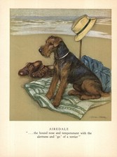 1947 Vintage Airedale Terrier