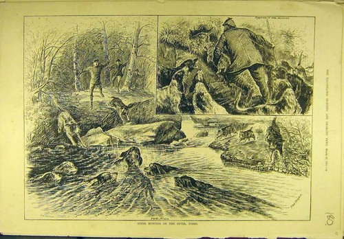 Original old antique print - old,
